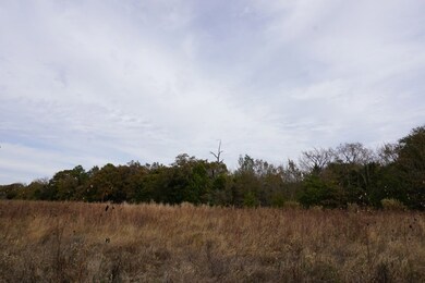 01 Cr 1316, Malakoff, TX 75148 - photo 3