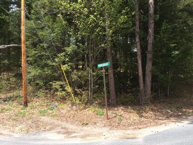 0 Mountainside Dr unit 4496495, Newbury, NH 03255 - photo 6