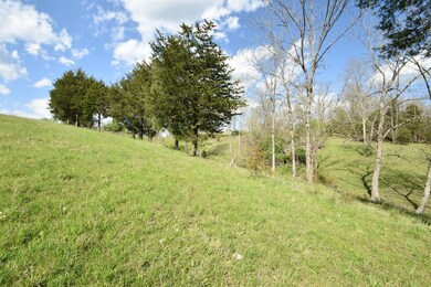 609 Central Pike unit 2, Harrodsburg, KY 40330 - photo 4