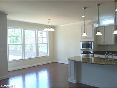 17209 Silver Maple Ct, Moseley, VA 23120 - photo 3