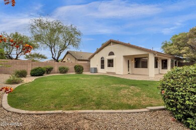 Large Backyard