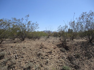 3040 E Darlene Dr unit 335, Vail, AZ 85641 - photo 7