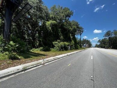 0 Bells Hwy unit 25024655, Walterboro, SC 29488 - photo 2