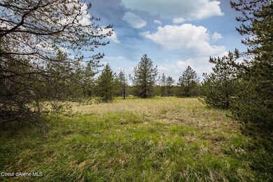 5_Vacant Land_Blanchard, ID