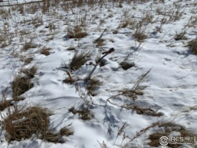 24355 Palomino Place, Calhan, CO 80808 - photo 3