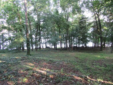 158 Dudala Way, Loudon, TN 37774 - photo 3