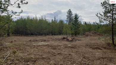 NKA Honeysuckle Rd, Athol, ID 83801 - photo 7