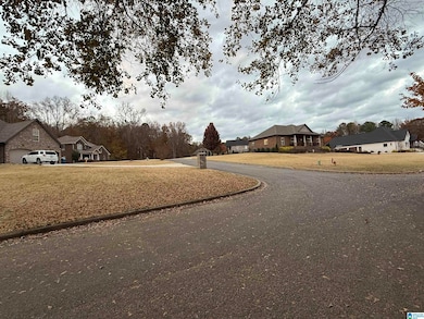 3 Springs Cove Rd, Warrior, AL 35180 - photo 7