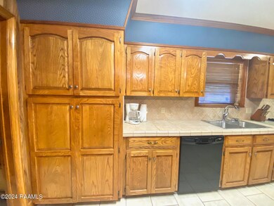 PANTRY & DISHWASHER