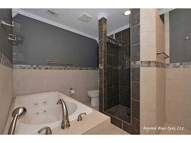 Photo. Luxurious whirlpool bath and separate showe