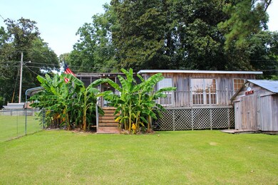 The back lawn