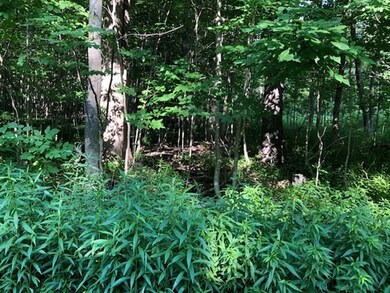 0 Wade Inn Bancroft Rd unit 72689081, Becket, MA 01223 - photo 2