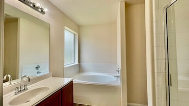  Primary master bedroom with golden tub and separa