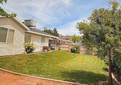 Backyard 4