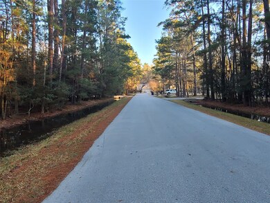 0 Weisinger unit 21165833, Magnolia, TX 77359 - photo 4