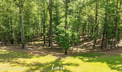 15 Tranquil Ln, Dadeville, AL 36853 - photo 4