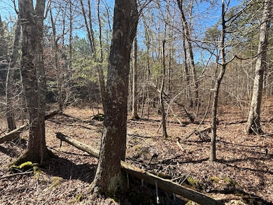 9 Tennessee 399, Dunlap, TN 37327 - photo 2