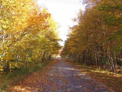 Parcel 16 Summerhill Way unit Summerhill, Hayes Township, MI 49720 - photo 7