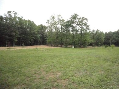 A view of the land to the back of the lot