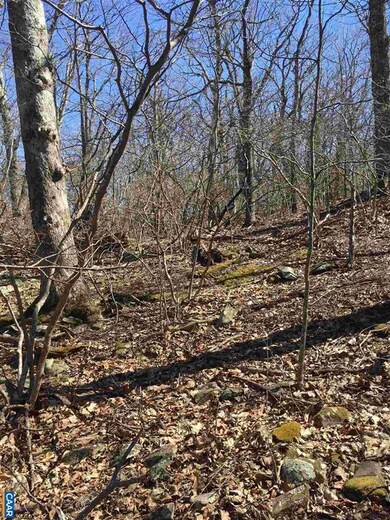 28 Pedlars Edge Dr, Rockfish, VA 22967 - photo 4