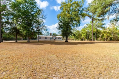 317 Palmer Rd, Bainbridge, GA 39817 - photo 5