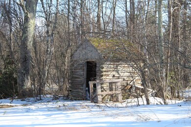 Outdoor shed