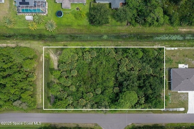 2707 Fitzpatrick Ave SW, Palm Bay, FL 32908 - photo 2