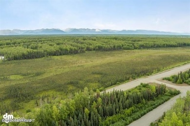 2325 N Skye Cir, Houston, AK 99694 - photo 3