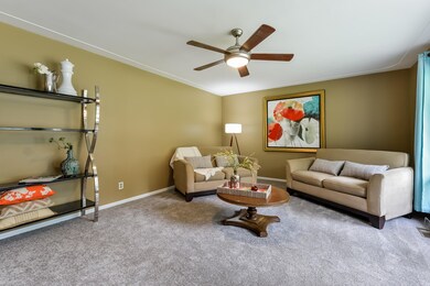 006-photo-living-room-6290235