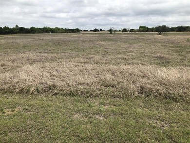 30044 Stonedale Dr & Fieldcrest Dr, Whitney, TX 76692 - photo 2