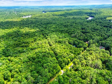 03_DJI_20240716133528_0094_D_DxO_mls
