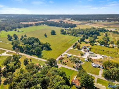 28 Acres 3117 Ridgeway Dr SW, Decatur, AL 35603 - photo 4