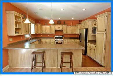 3700 McIngvale Rd, Hernando, MS 38632 - photo 6