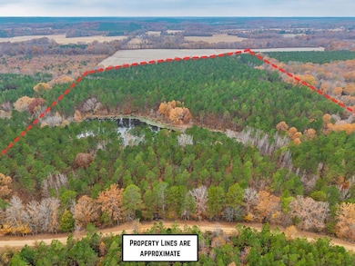 85  ac County Road 291, Water Valley, MS 38915 - photo 2