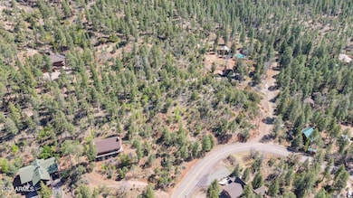 92 W Ralls Drive -- unit 92, Strawberry, AZ 85544 - photo 7