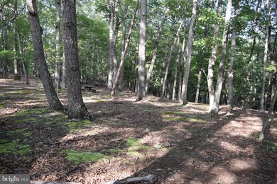 0 Pioneer Trail unit WVMO2003510, Great Cacapon, WV 25422 - photo 5