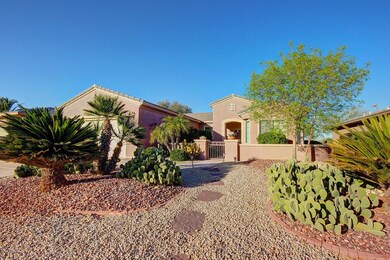 Front yard