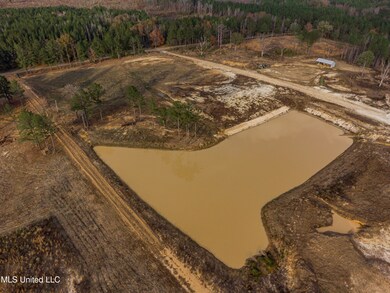 0 Sulphur Springs Rd unit 4132406, Canton, MS 39046 - photo 3