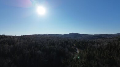 M5 L46D Black Bear Ave, Upper Frenchville, ME 04745 - photo 6