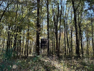 0 Wilson Rd unit 25582294, Pheba, MS 39755 - photo 2