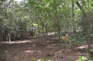 Lot 9 Galax Ln unit 9, Brevard, NC 28712 - photo 3