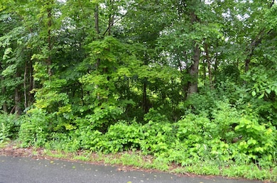 67 Babcock Tavern Rd, Ware, MA 01082 - photo 2