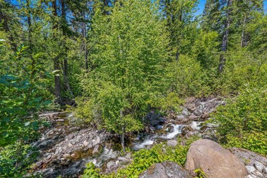 View of yard with a forest view