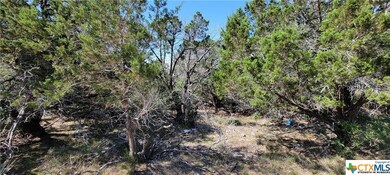 15987 Salado Dr, Temple, TX 76502 - photo 5