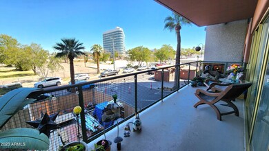 Super Large Patio