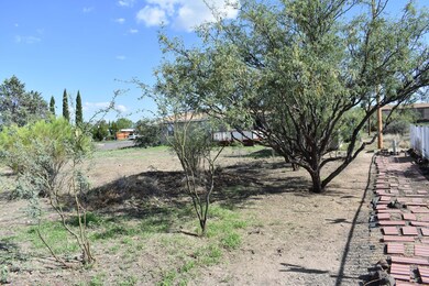 Tree Lined