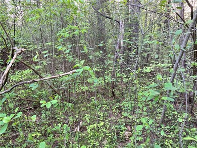 3549 Knowlton Rd, Roaming Shores, OH 44084 - photo 3