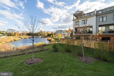 1312 White Feldspar Terrace SE, Leesburg, VA 20175 - photo 3