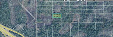 0 Dill Rd unit MFRO6233809, Orlando, FL 32820 - photo 2