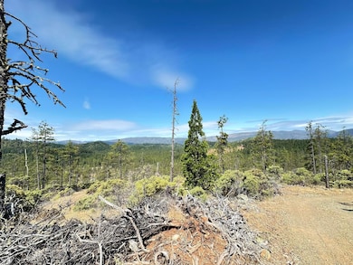 20240710014127477604000000-o